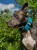 624ED8ED-9109-45E9-A0EA-E2A0A230EAA1.jpeg