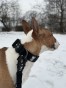 IMG_2900.jpeg