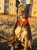 273492ed-9cbe-49c9-b350-427f0690b0ae.jpeg