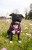 Photoroom_20250330_103641.jpeg