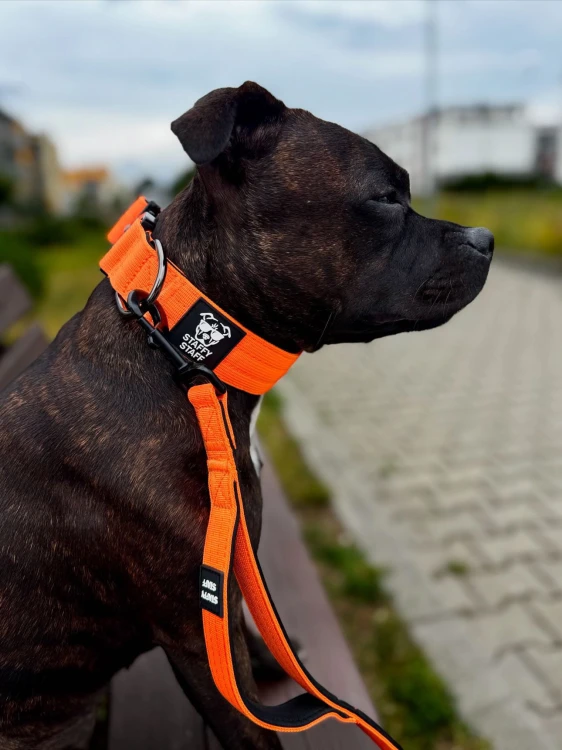 4B1B4295-5E5E-4D02-B06F-6400084A7A9E.jpeg