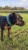 IMG_1987.jpeg