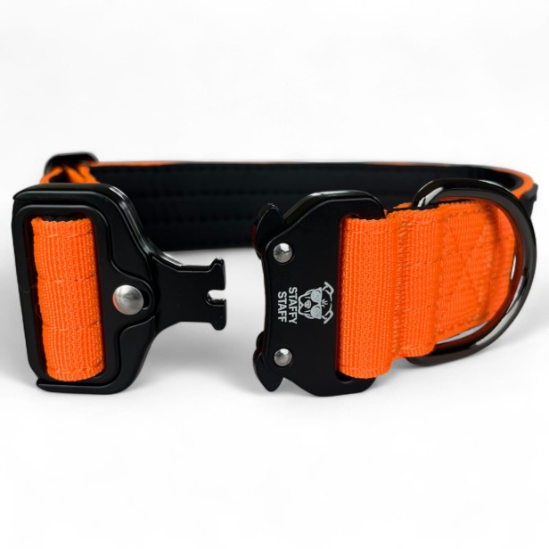 IMG_2189 — kopia-Photoroom.jpg