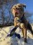IMG_3310.jpeg