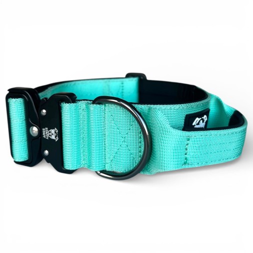 IMG_3062-Photoroom.jpg
