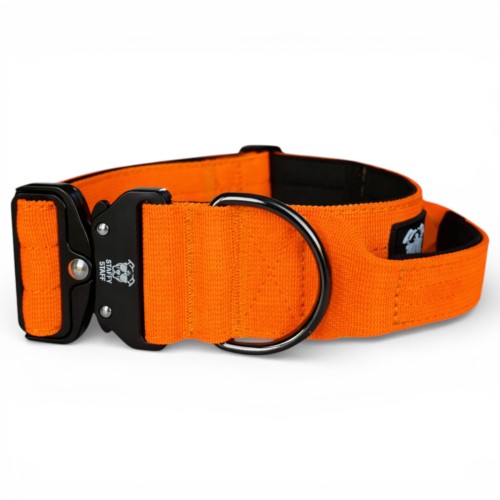 pomarańczowa obroża z rączką-Photoroom.jpg