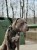 Photoroom_20260311_154559.jpeg