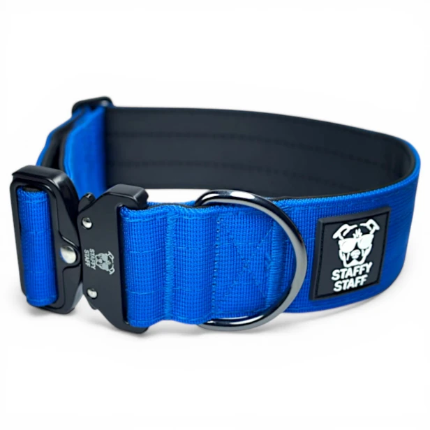 c. niebieski-Photoroom.jpg