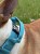 IMG_3935.jpeg