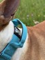 IMG_3935.jpeg