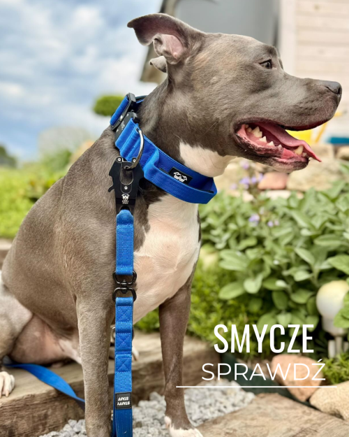 smycz dla silnego psa staffystaff