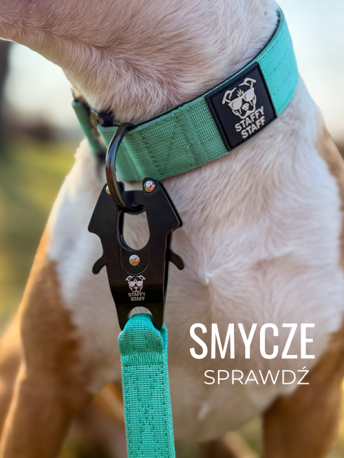 smycz dla silnego psa staffystaff